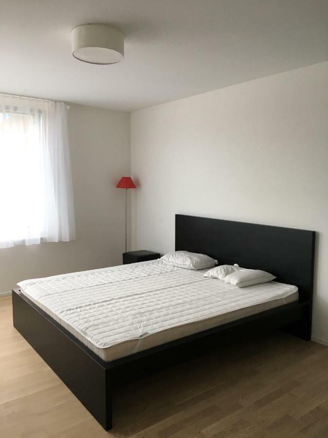 Close To Zuerich Centre And Airport Kloten Eksteriør bilde